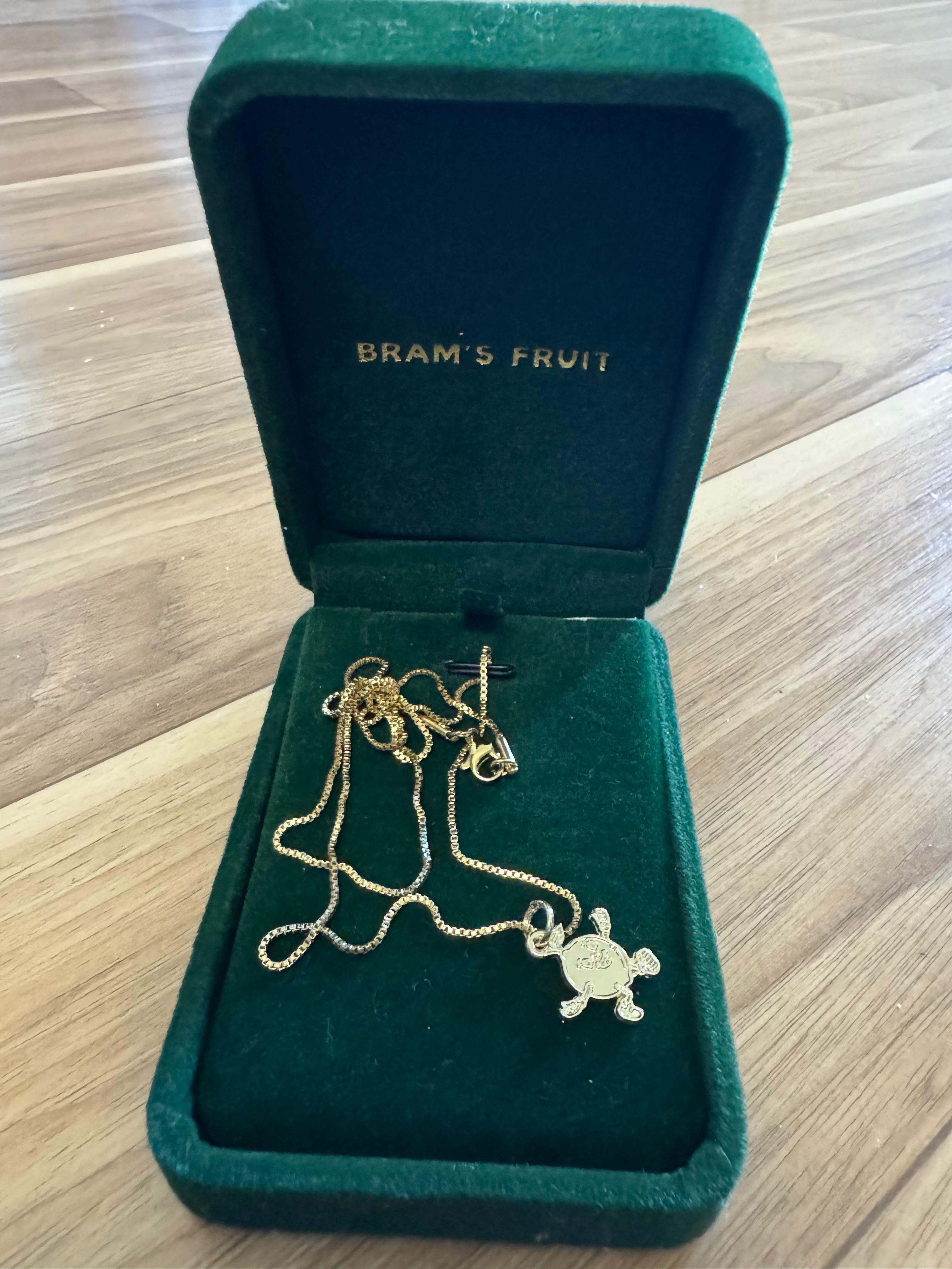 Bram’s Fruit Turtle Pendant Necklace, 18K Gold, Like New, with Case