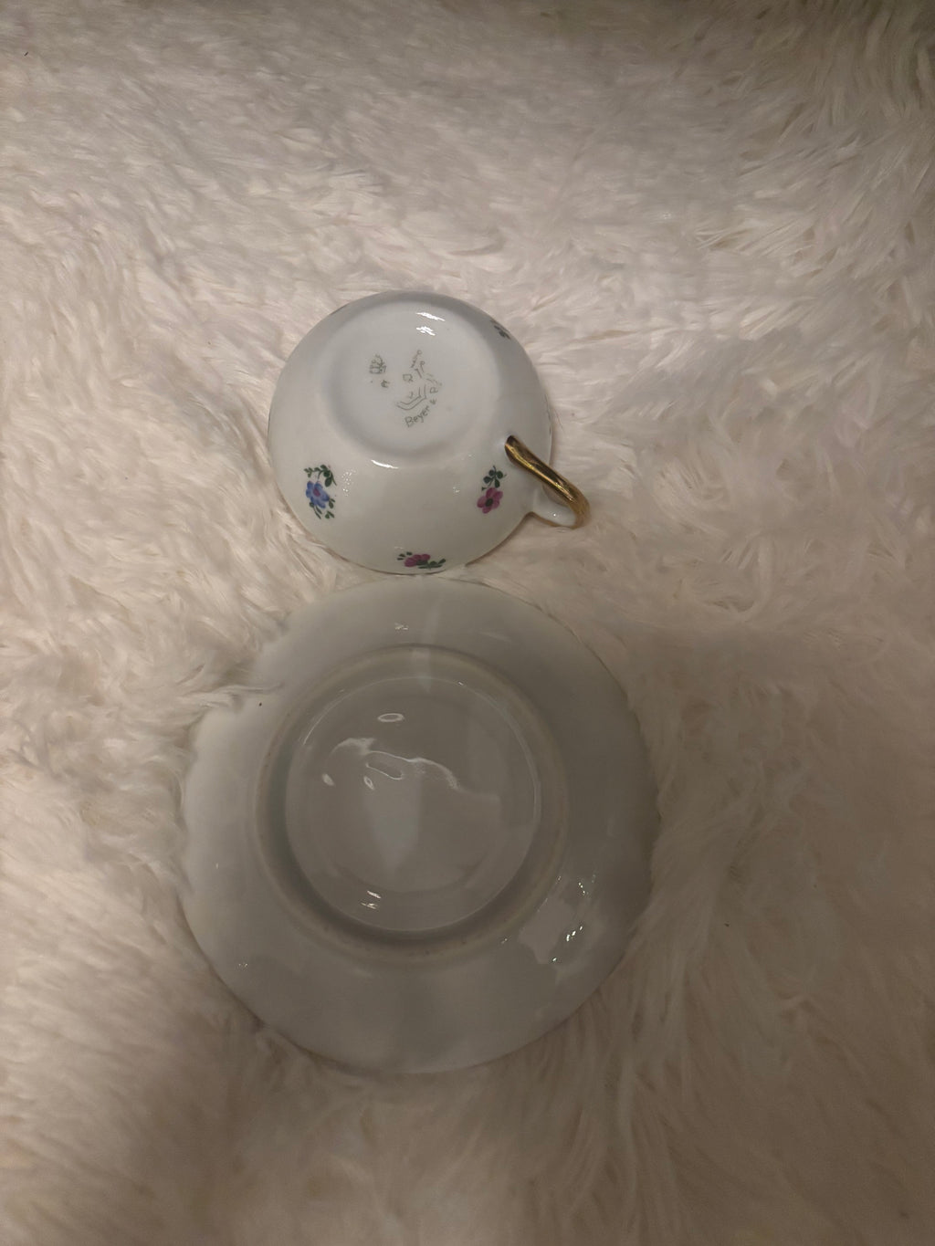 Winterling Bavaria Porcelain Teacup & Saucer Pattern 54 | Gold Trim