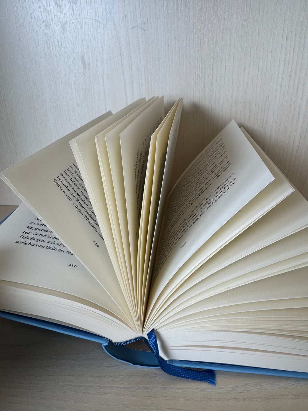 The Mirror Visitor 1 – Die Verlobten des Winters (German HC, Very Good)