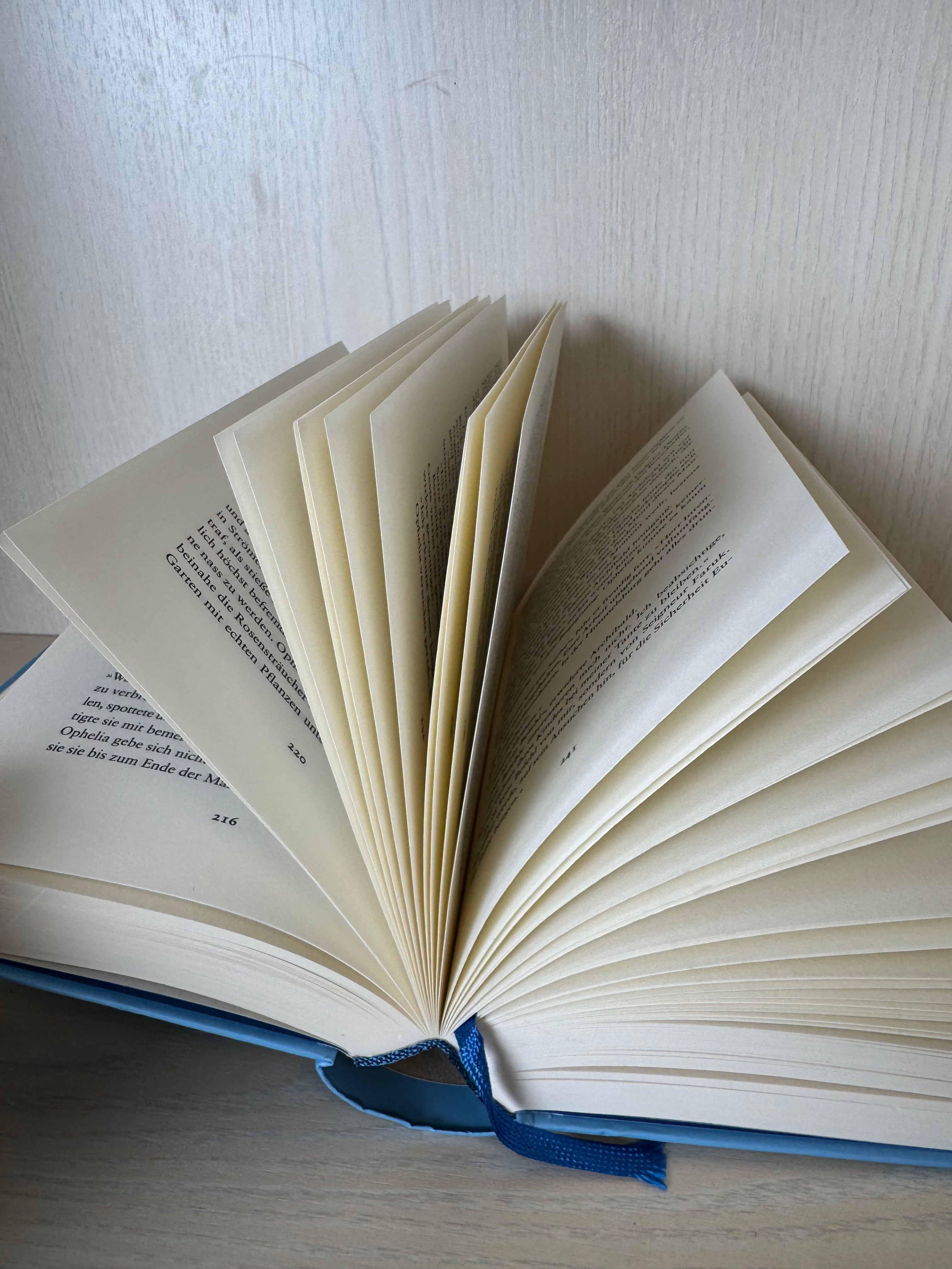The Mirror Visitor 1 – Die Verlobten des Winters (German HC, Very Good)