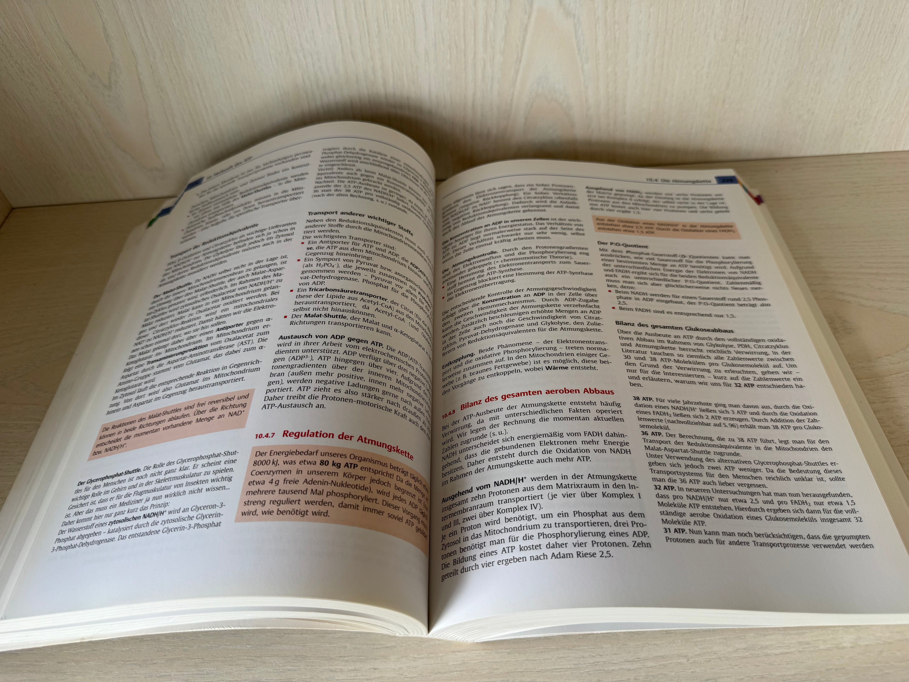 Biochemie des Menschen (Thieme) – 4. Auflage, Deutsch, guter Zustand