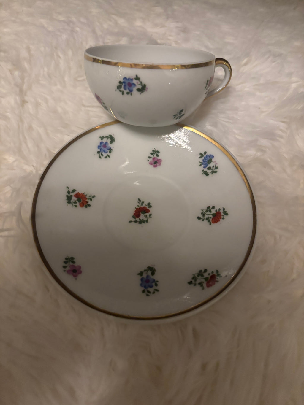 Winterling Bavaria Porcelain Teacup & Saucer Pattern 54 | Gold Trim