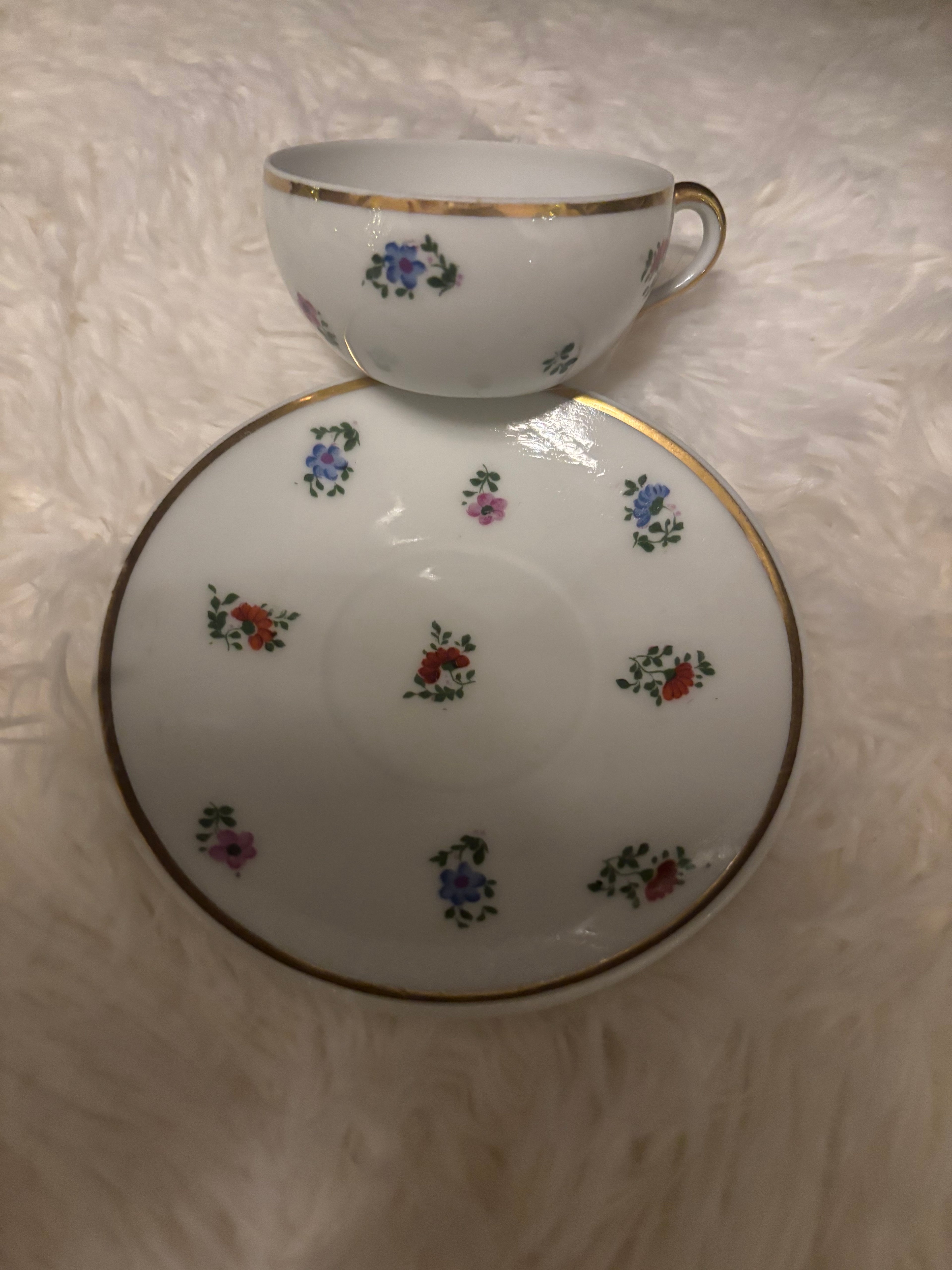 Winterling Bavaria Porcelain Teacup & Saucer Pattern 54 | Gold Trim