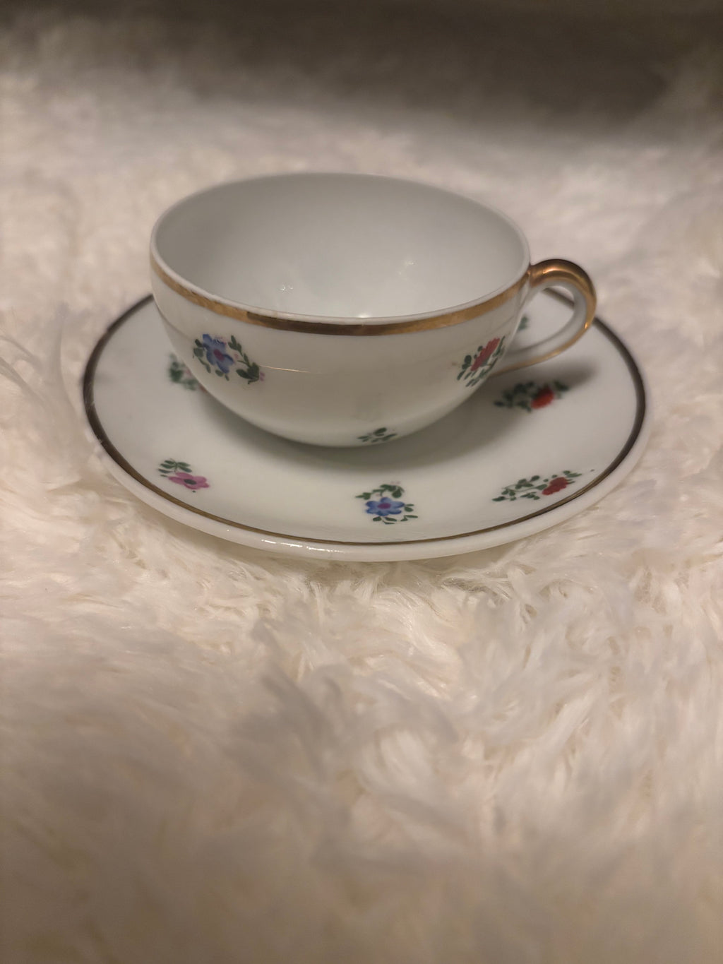 Winterling Bavaria Porcelain Teacup & Saucer Pattern 54 | Gold Trim