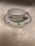 Winterling Bavaria Porcelain Teacup & Saucer Pattern 54 | Gold Trim