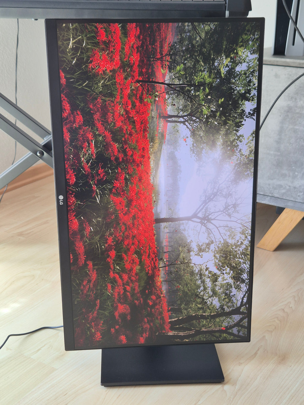 LG 27UK670-B 27 IPS 4K Monitor Schwarz, USB-C, Sehr Gut, Ohne Standfuß