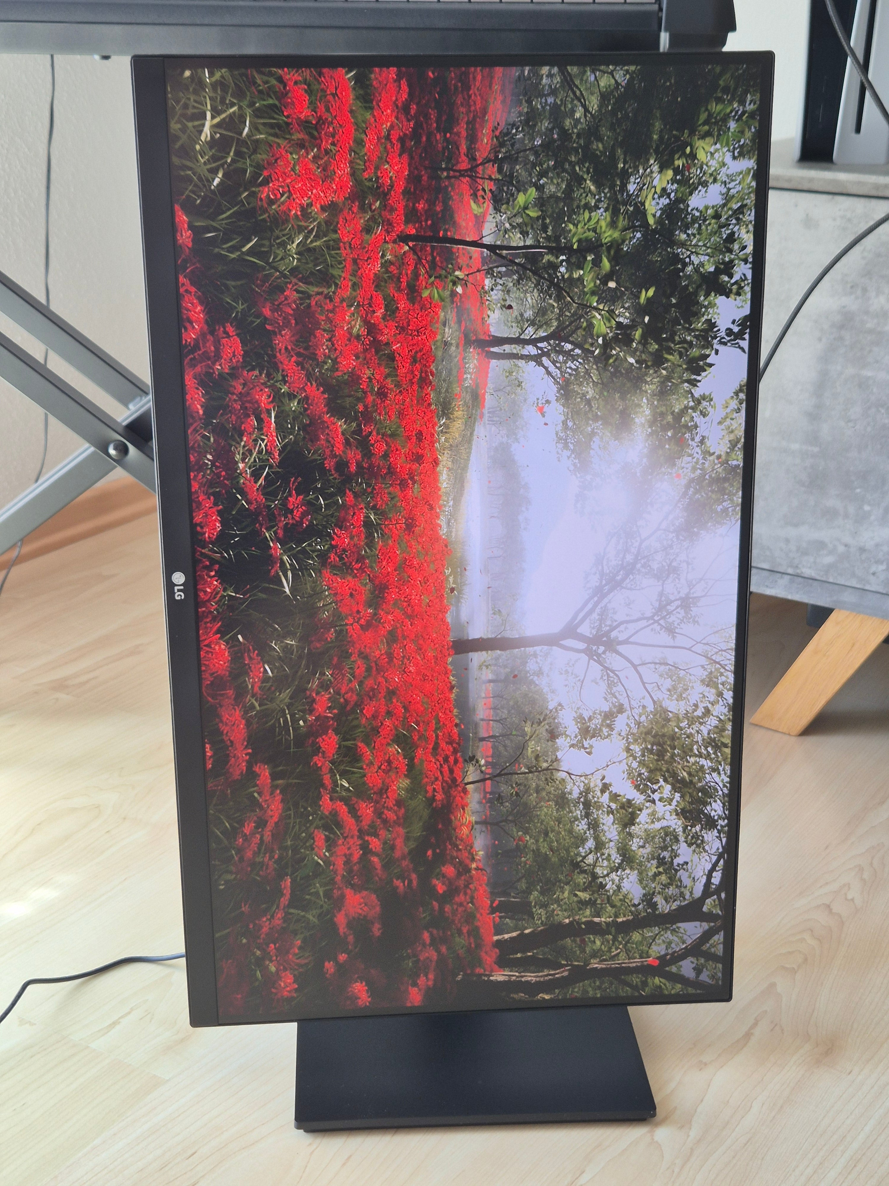 LG 27UK670-B 27 IPS 4K Monitor Schwarz, USB-C, Sehr Gut, Ohne Standfuß