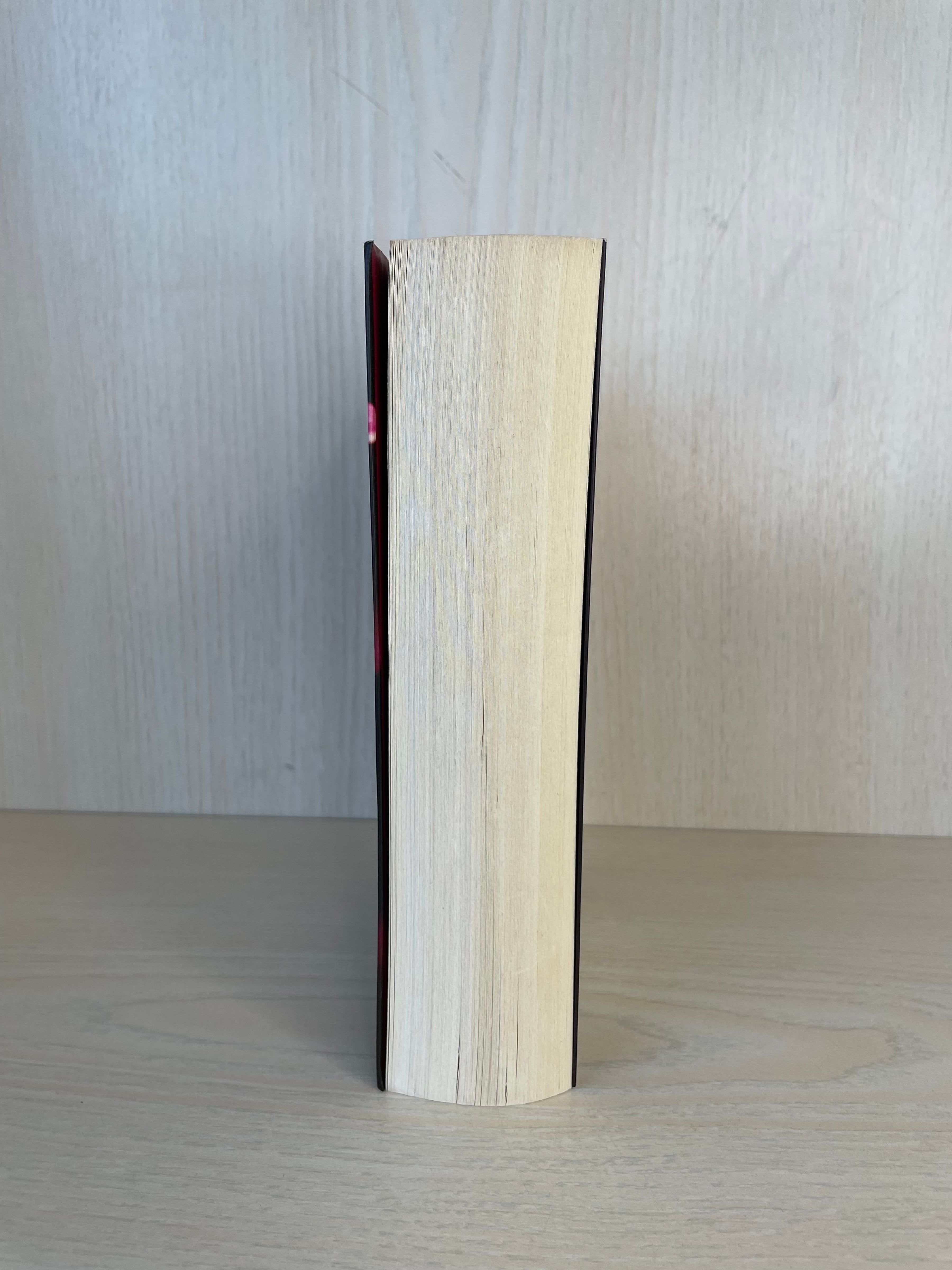 Shades of Grey: Geheimes Verlangen (German PB) sehr guter Zustand