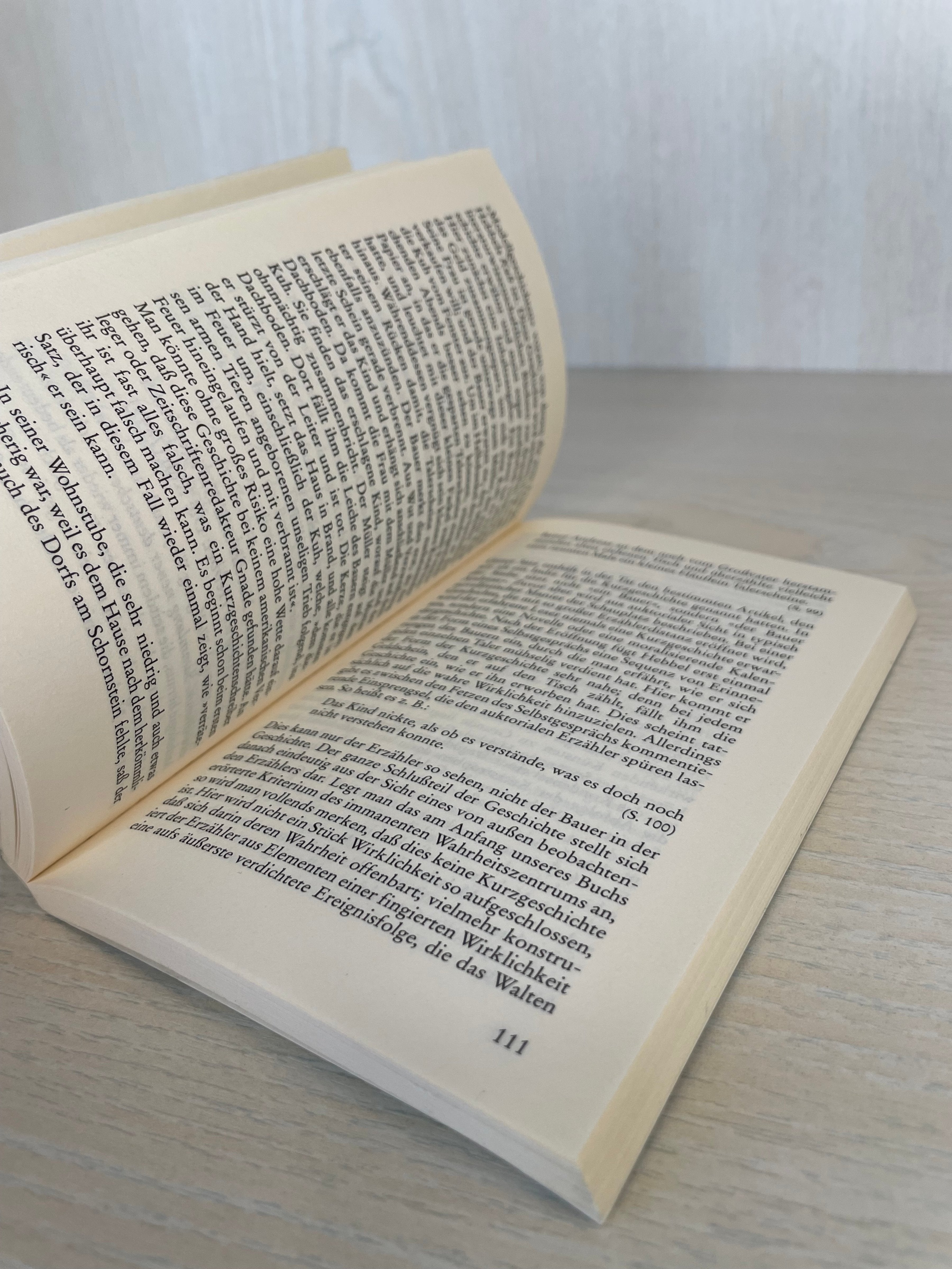 Reclam Guide: Analyzing Novellas & Short Stories (German, Used)