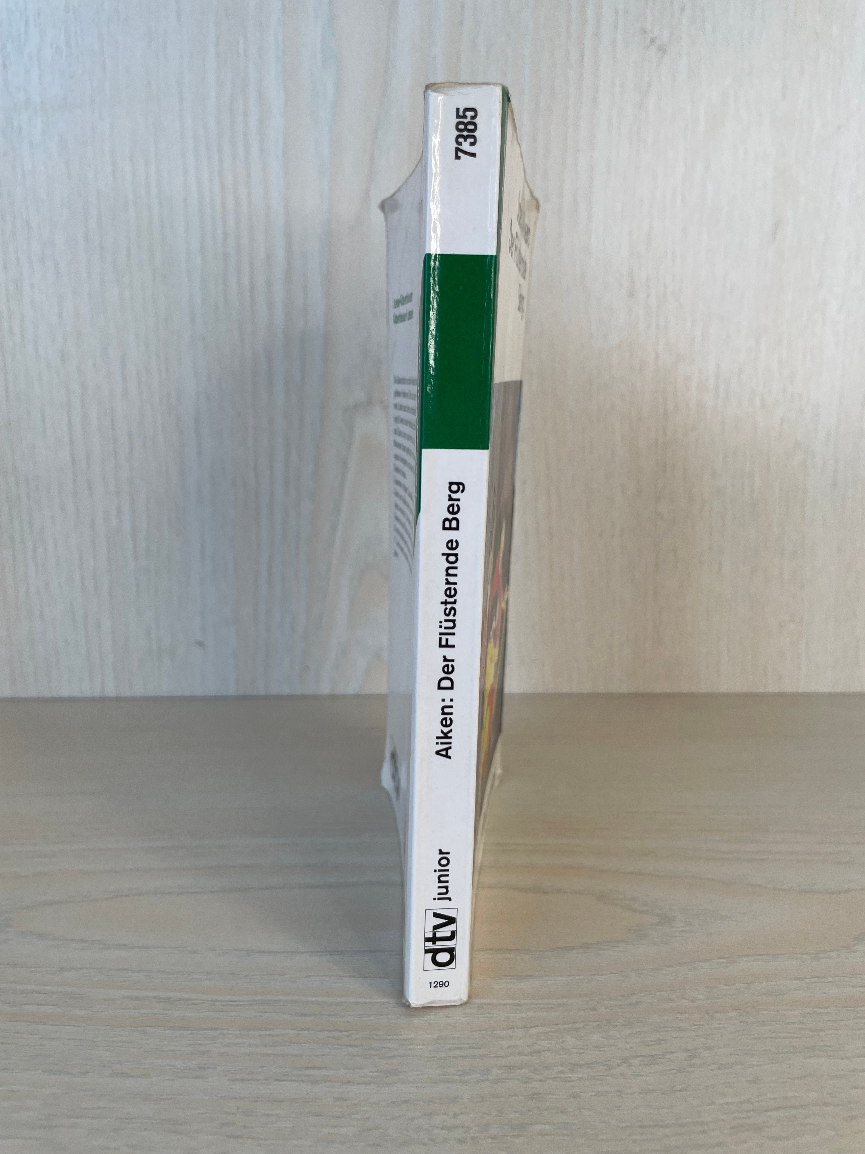 Joan Aiken – Der Flüsternde Berg (dtv junior 7835) – Paperback, Guter Zustand